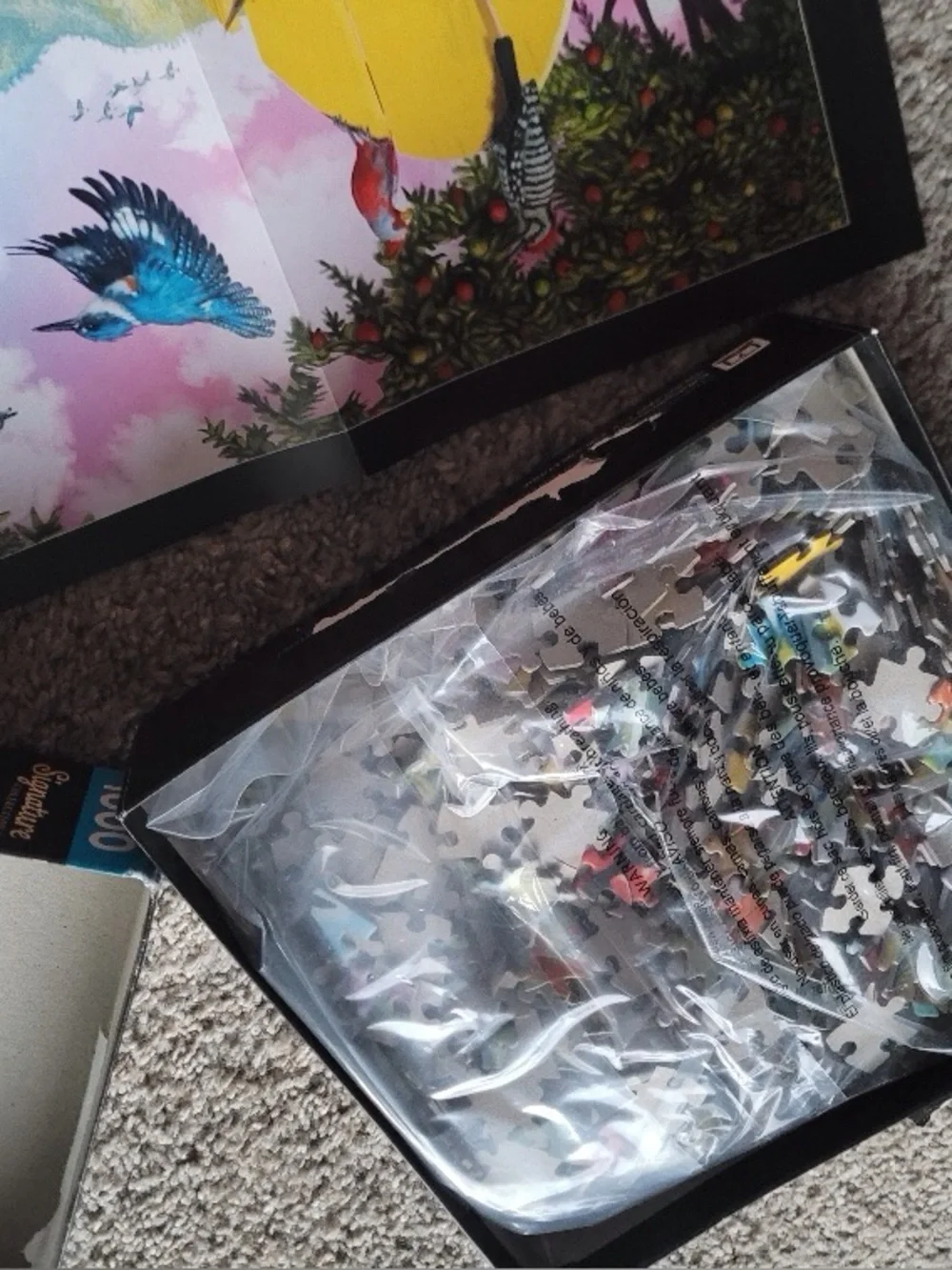 Buffalo Signature Collection 'Hidden Birds' 1000-Piece Puzzle - Colorful Multi